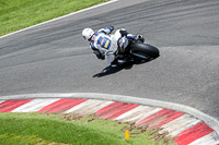 cadwell-no-limits-trackday;cadwell-park;cadwell-park-photographs;cadwell-trackday-photographs;enduro-digital-images;event-digital-images;eventdigitalimages;no-limits-trackdays;peter-wileman-photography;racing-digital-images;trackday-digital-images;trackday-photos